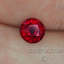 ruby_578_a.jpg