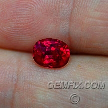 ruby_561_a.jpg