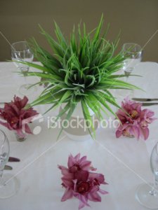 MYgreenpurplecenterpieces.jpg MYgreenpurplecenterpieces.jpg
