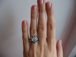 IMG_0453_1_1.JPG