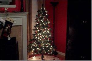 Murphytree.jpg