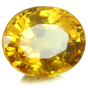 goldie.jpg