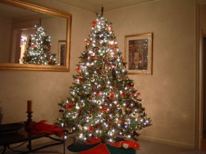 tree04.JPG