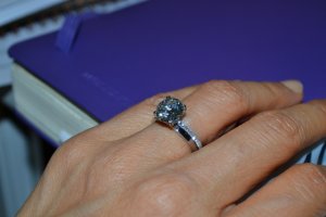 dsc_267.jpg