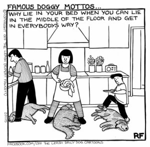 dogs.jpg