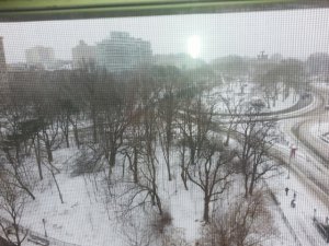 prettysnowjan2015.jpg