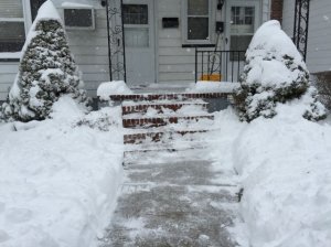 shoveled.jpg
