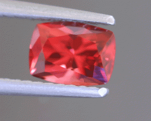 mar13rspinelii.gif