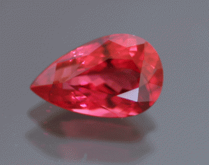 dec13rspineli.gif