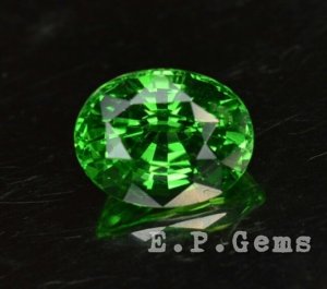 epgems_tsav_pre.jpg