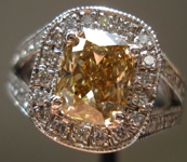 1757_thumbnail_image.jpg