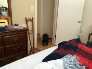 img_6938.jpg