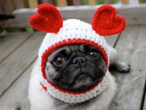 dog-etsy-valentines-day.jpg