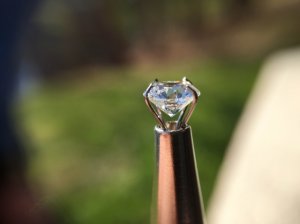img_0681.jpg