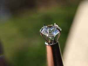 img_7058.jpg