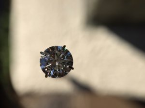 img_0687.jpg