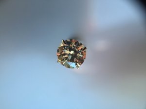 img_0702.jpg