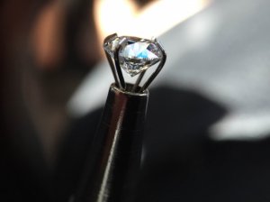 img_7060.jpg