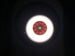 img_7097.jpg