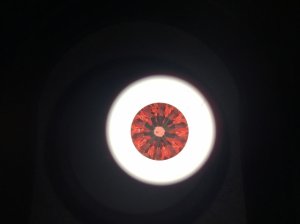 img_7098.jpg