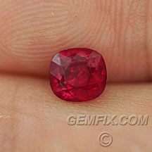ruby_571_a.jpg