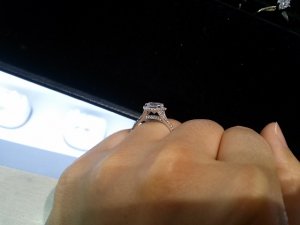 cam03905.jpg