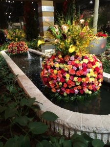 img_7293.jpg