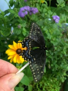 img_0877.jpg