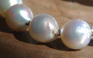 pearls_4.jpg pearls_4.jpg