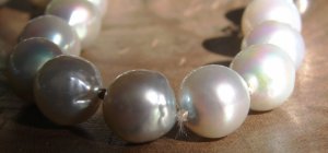 pearls_5.jpg pearls_5.jpg