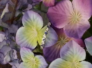 20150309_073803.jpg