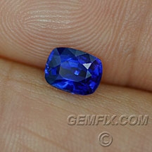 sapphire_blue_1199_a.jpg