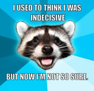 indecisive_raccoon.png