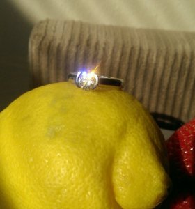 imag2536_1.jpg