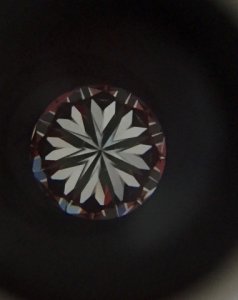 _28173.jpg