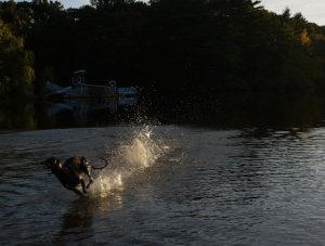 14006400761_2f8d0da0d2_b.jpg