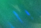 img_5042_crop.jpg