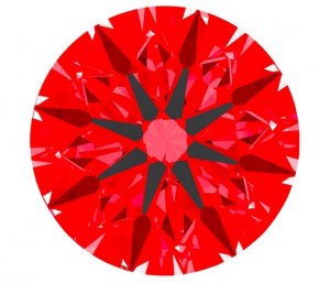 _29005.jpg