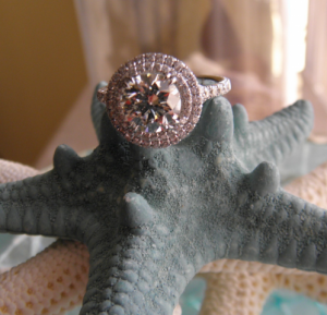 ring_pics_home_10.png ring_pics_home_10.png