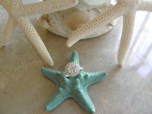 ring_pics_home_4.png ring_pics_home_4.png