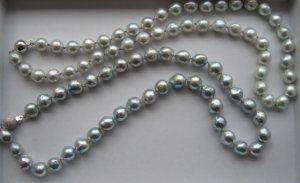 ppsilverb_0450.jpg