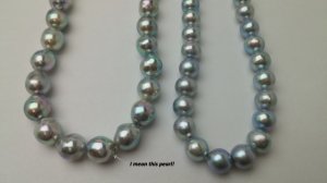 blue-baroque-closeup_with_my_notice.jpg blue-baroque-closeup_with_my_notice.jpg