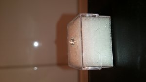 20150423_201453.jpg