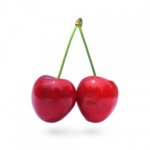 cherry_stella444_1_.jpg