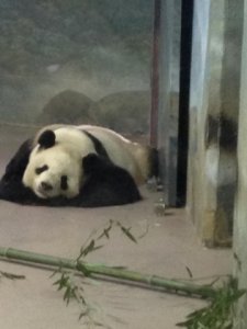 parentsweekendatwashingtonzoo.jpg