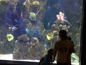 2015-04-09_2.jpg