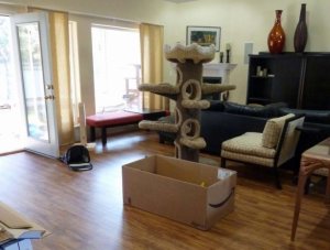 living_room_new.jpg living_room_new.jpg