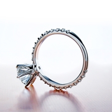 option_4_pave_plain_prongs.jpg option_4_pave_plain_prongs.jpg