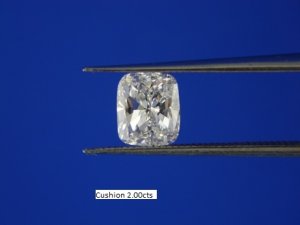 dscn5222.jpg