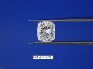dscn5229.jpg